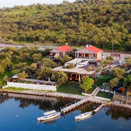 Qcunda Otel Ayvalı المظهر الخارجي الصورة
