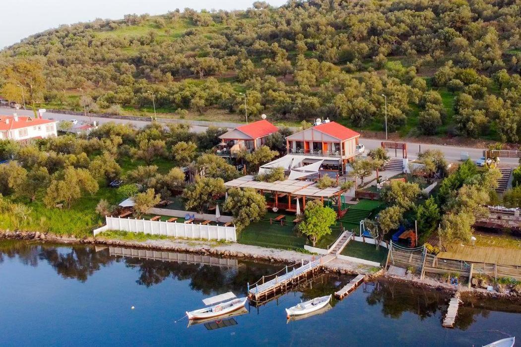 Qcunda Otel Ayvalı المظهر الخارجي الصورة