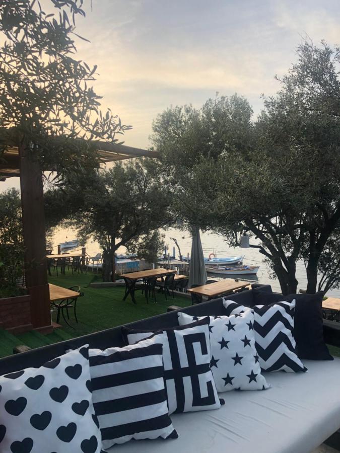 Qcunda Otel Ayvalı المظهر الخارجي الصورة