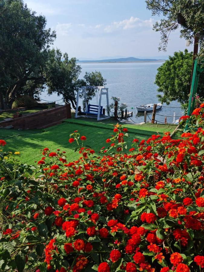 Qcunda Otel Ayvalı المظهر الخارجي الصورة